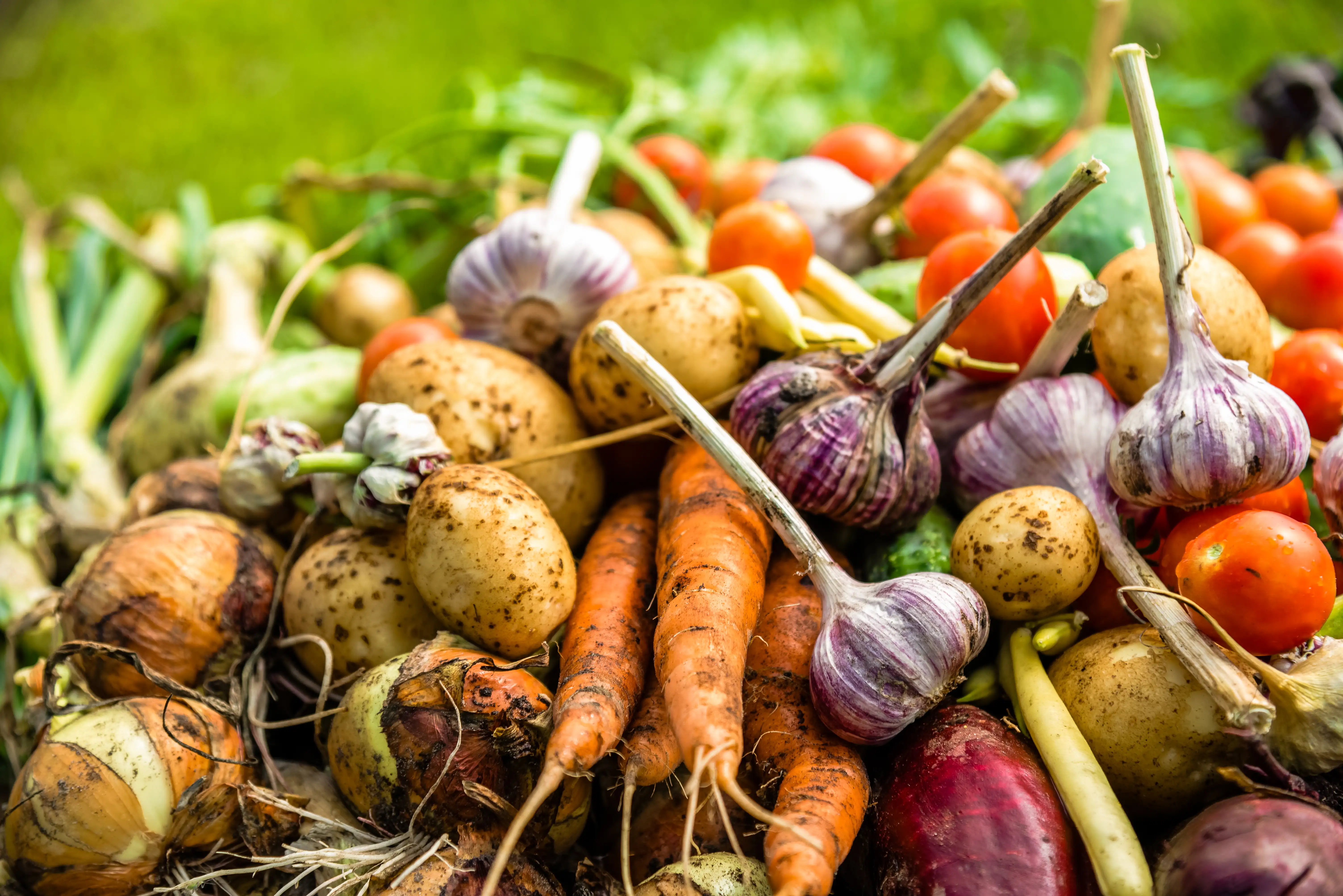 Buntes Gemüse – Zero Waste in der Gastronomie